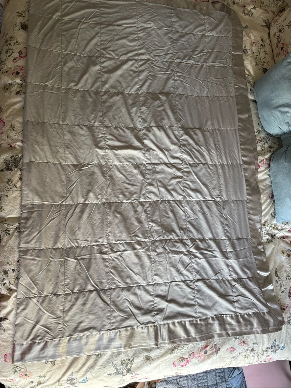Silk Lined Silver Blanket